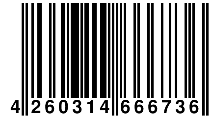 4 260314 666736