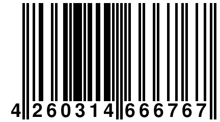 4 260314 666767