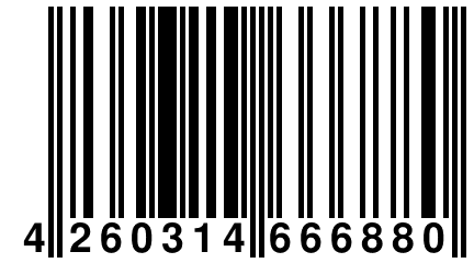 4 260314 666880