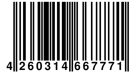 4 260314 667771