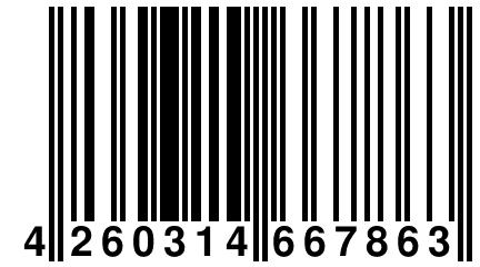 4 260314 667863