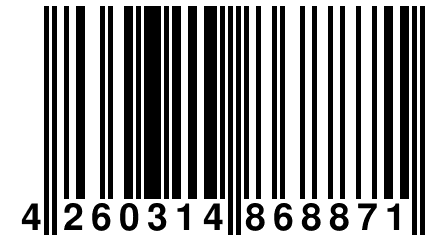 4 260314 868871