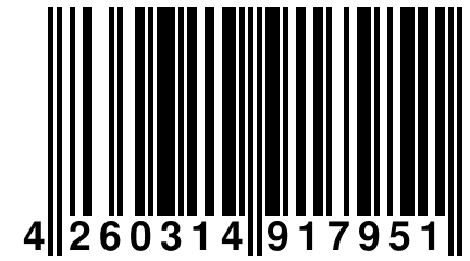 4 260314 917951