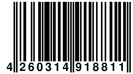 4 260314 918811