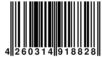 4 260314 918828