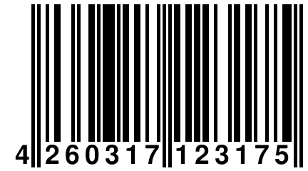 4 260317 123175