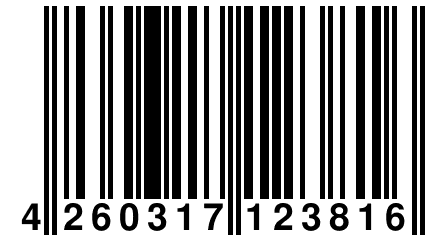 4 260317 123816