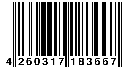 4 260317 183667