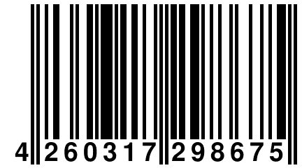 4 260317 298675