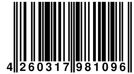 4 260317 981096