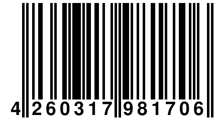 4 260317 981706