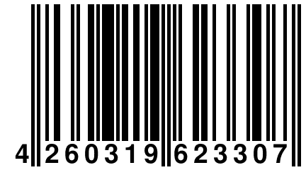 4 260319 623307