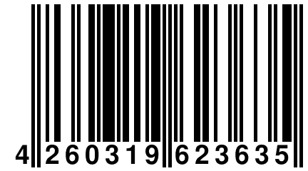 4 260319 623635