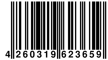 4 260319 623659