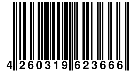 4 260319 623666