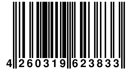 4 260319 623833