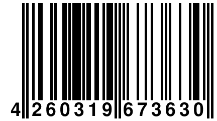 4 260319 673630