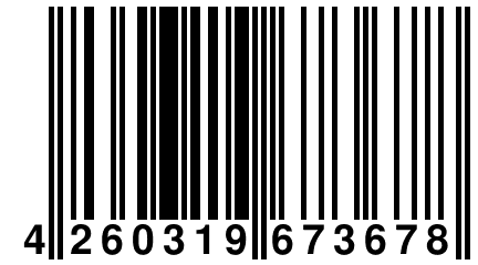 4 260319 673678