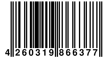 4 260319 866377