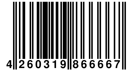 4 260319 866667