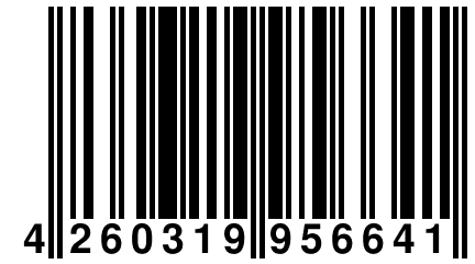 4 260319 956641