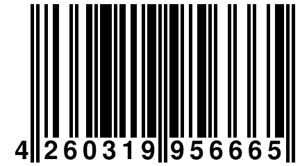 4 260319 956665