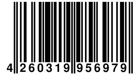 4 260319 956979