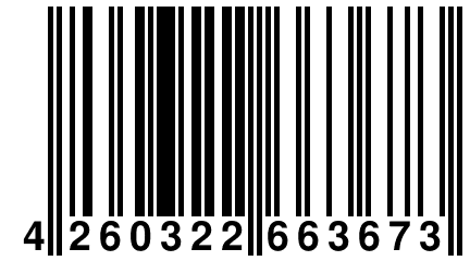 4 260322 663673