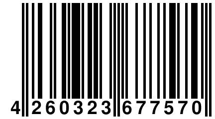 4 260323 677570