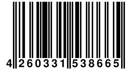 4 260331 538665