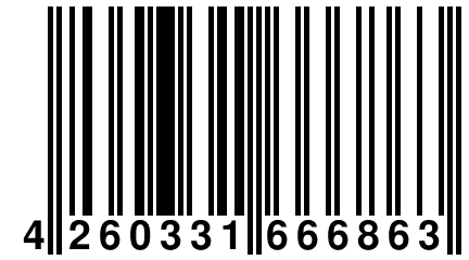 4 260331 666863