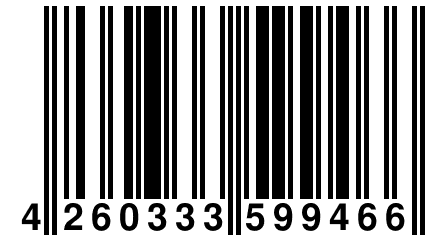 4 260333 599466