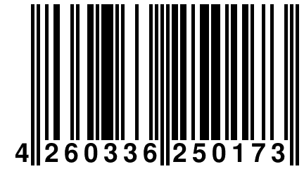 4 260336 250173