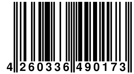 4 260336 490173