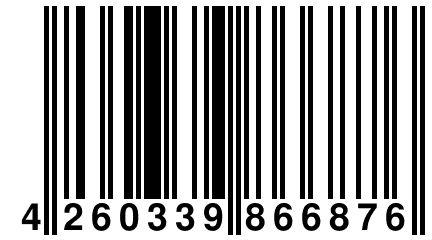 4 260339 866876