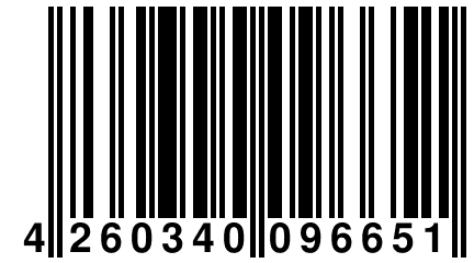 4 260340 096651