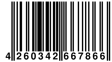 4 260342 667866