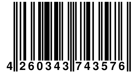 4 260343 743576