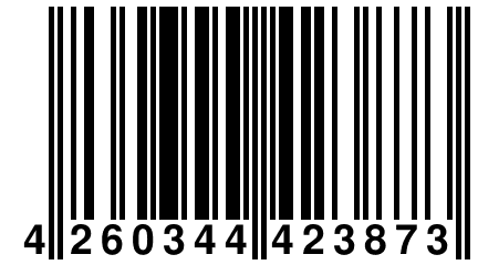 4 260344 423873