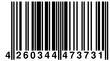 4 260344 473731