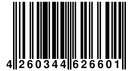 4 260344 626601