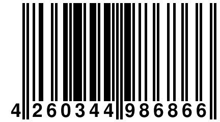 4 260344 986866