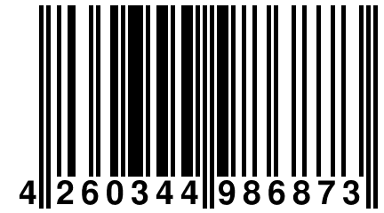 4 260344 986873