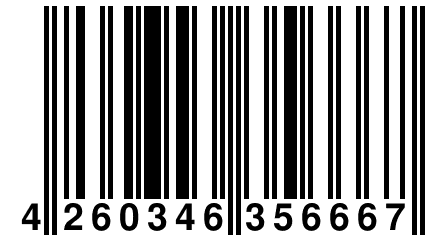 4 260346 356667