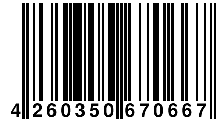 4 260350 670667