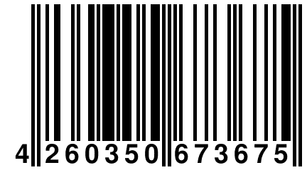 4 260350 673675