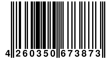 4 260350 673873