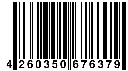 4 260350 676379