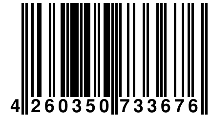 4 260350 733676