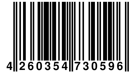 4 260354 730596